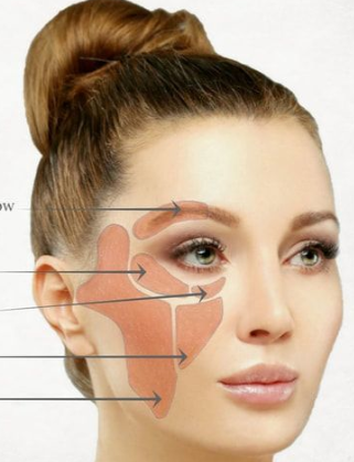 <p>(cheek)</p>
