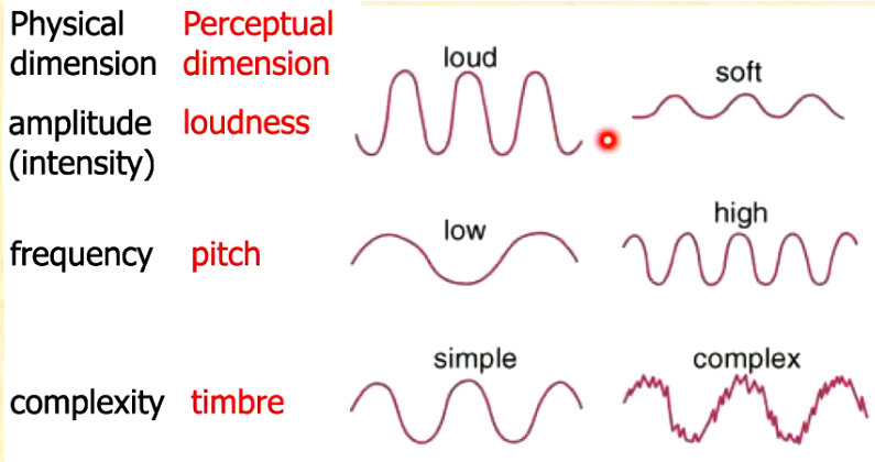 <p>Amplitude - extent of rareifcation + compressions </p><ul><li><p>accounts for loudness </p></li><li><p>greater difference in rarefication + compression means more loud sound </p></li></ul><p>frequency - number of cycles of rarefication + compression per second </p><ul><li><p>accounts for pitch - high (high frequency) or low (slow)</p></li><li><p>complexity/timbre - complex sounds have more combinations </p></li></ul><p></p><ul><li><p><span>The perceptual dimensions due to processing in brain however originates due to differences in physical properities of sound waves</span></p></li></ul><p></p>