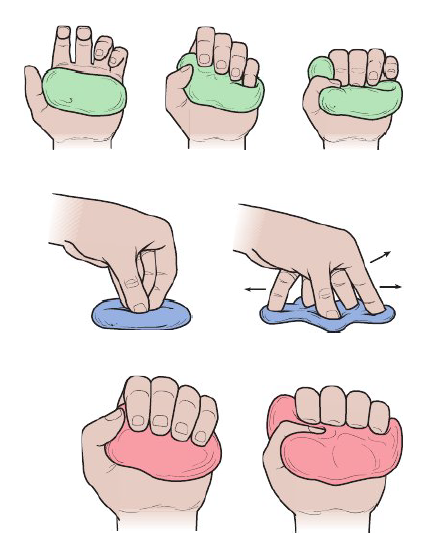 <p><strong>Exercises for improving hand strength </strong></p>