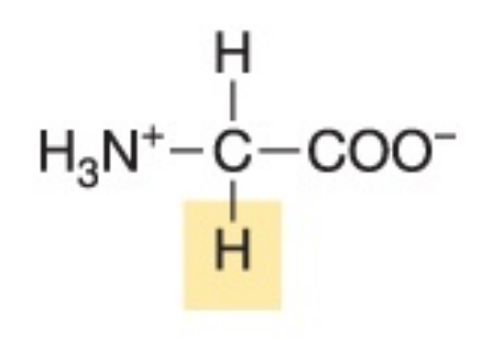 <p>What amino acid is this?</p>