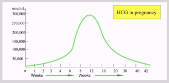 <ul><li><p><span style="background-color: transparent;">&nbsp;Glycoprotein secreted by physiologically active trophoblastic tissue</span></p><ul><li><p><span style="background-color: transparent;">Presence of HCG in maternal blood = strongest indicator of presence of gestation</span></p></li></ul></li><li><p><span style="background-color: transparent;">Shows ~6-8 days post conception</span></p></li><li><p><span style="background-color: transparent;">Doubles every 2 days (~ 48 hours)</span></p></li><li><p><span style="background-color: transparent;">Peaks at 10 weeks' gestation before declining and stabilizing</span></p></li><li><p><span style="background-color: transparent;">Undetectable HCG → excludes gestation from anywhere in body&nbsp;</span></p></li><li><p><span style="background-color: transparent;">If HCG plateaus or falls prematurely → pregnancy may not be viable</span></p></li><li><p><span style="background-color: transparent;">Most sensitive test: quantitative serum (blood) test</span></p></li></ul><p></p>
