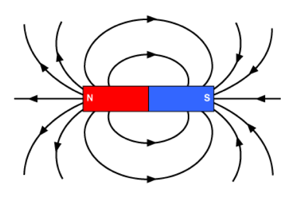 <p>Field lines go out of North and into South</p>
