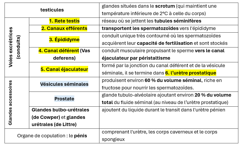 <img src="https://assets.knowt.com/user-attachments/7bac8983-945a-4f42-9776-28c7229dda3e.png" data-width="100%" data-align="center"><p></p>
