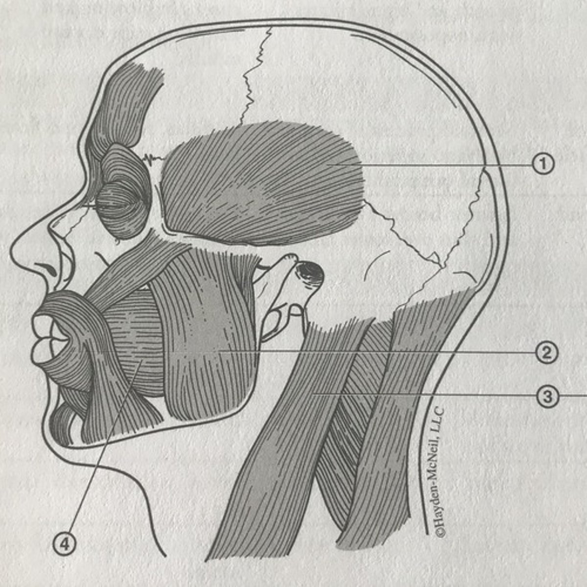 <p>What is #1?</p>