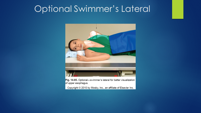 <p><em>*same as lateral but swimmers position</em>*</p>