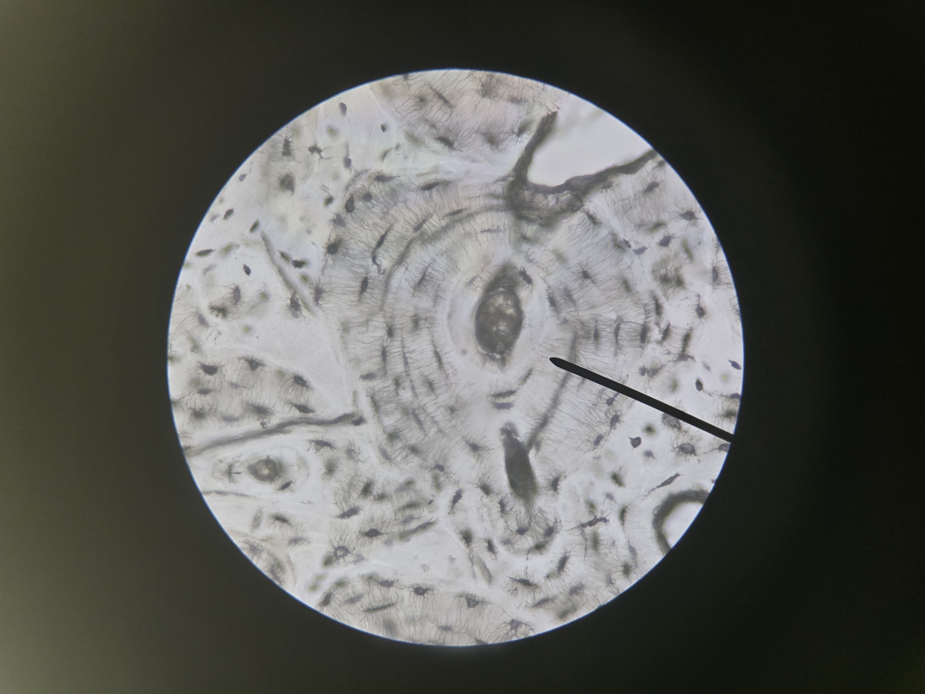 <p>Name Substance That Fills Space</p>