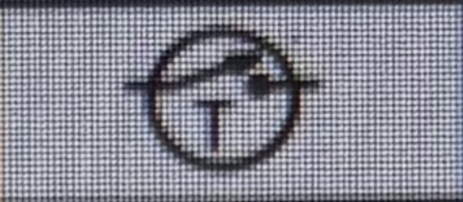 term image