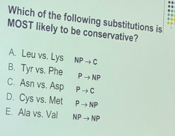 <p>can change structure and function- depending on location (His - Lys)</p><p>• Ser - Val</p><ul><li><p>when choosing you look for the biggest change</p></li></ul><p></p>