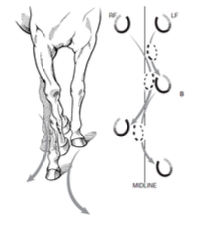 <p>interference with contralateral limb - legs swinging in</p>