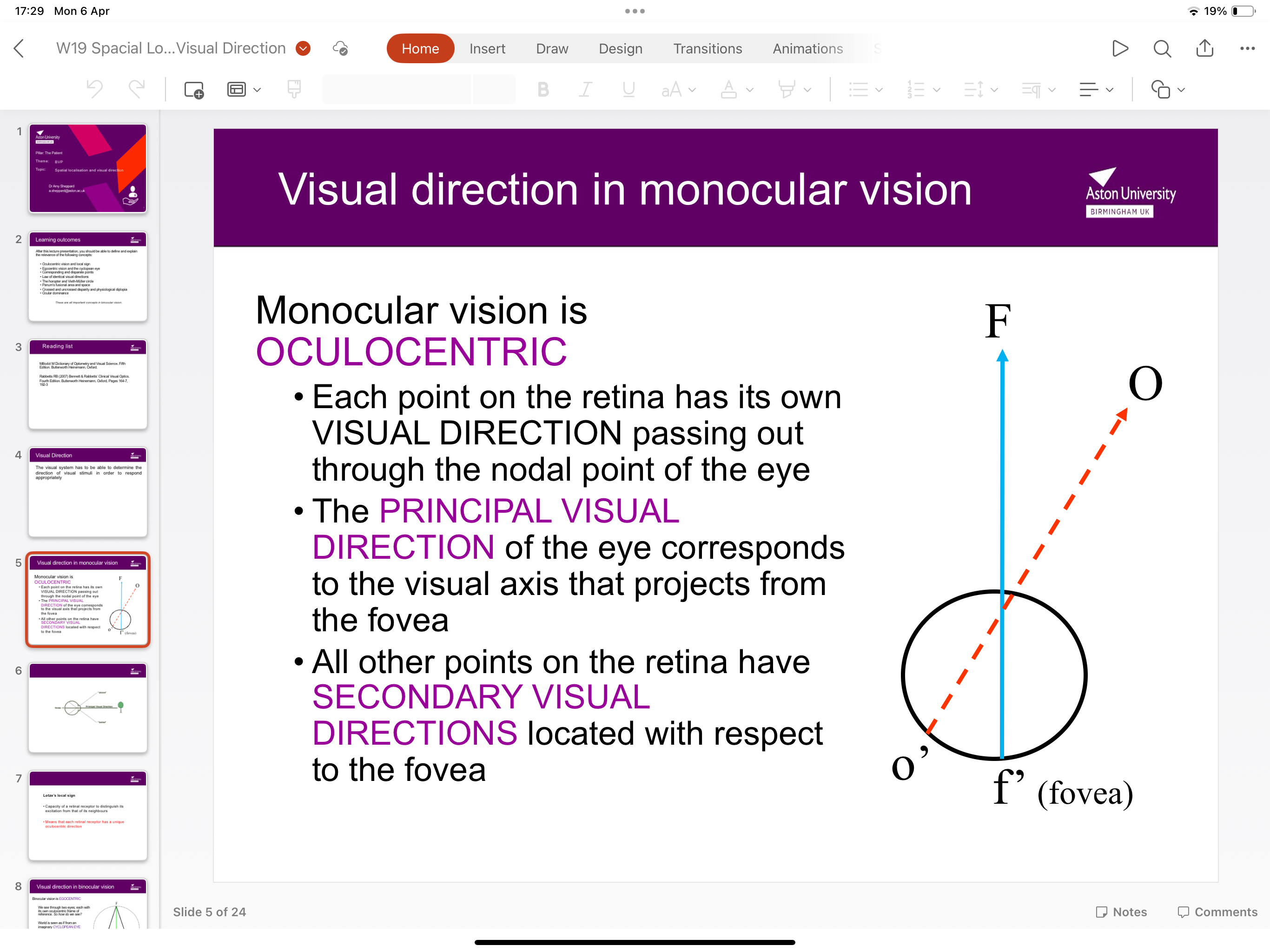 <p>Corresponds to the visual axis that projects from the fovea </p>