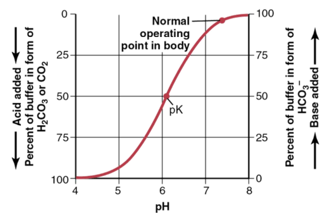 <p>What happens to the buffer ratio when base is added?</p>