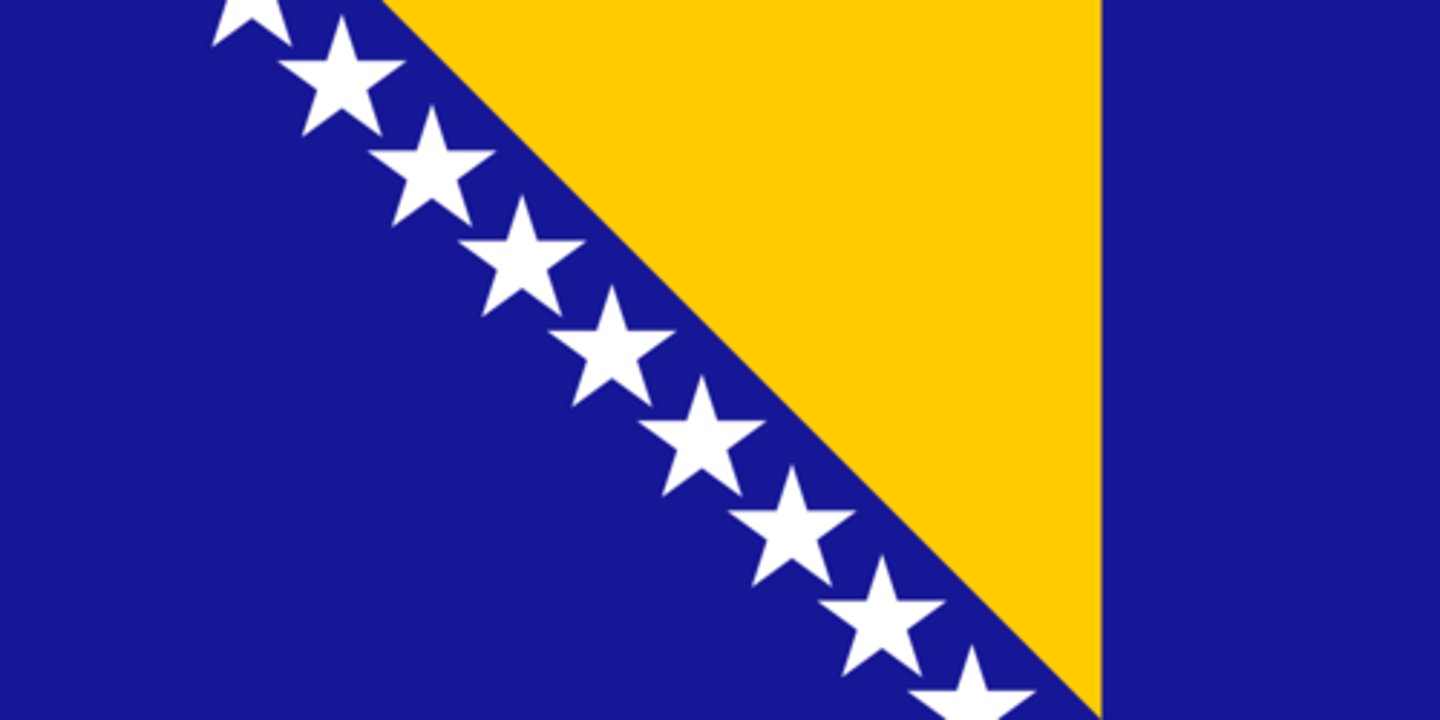 <p>la Bosnie, bosniaque (2x)</p>