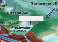 <p>The Water Cycle: Name this step</p>