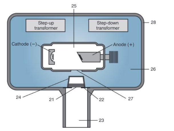 In Figure 2-28, identify structure 25.