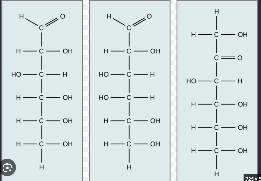 <p>this image is an example of what</p>