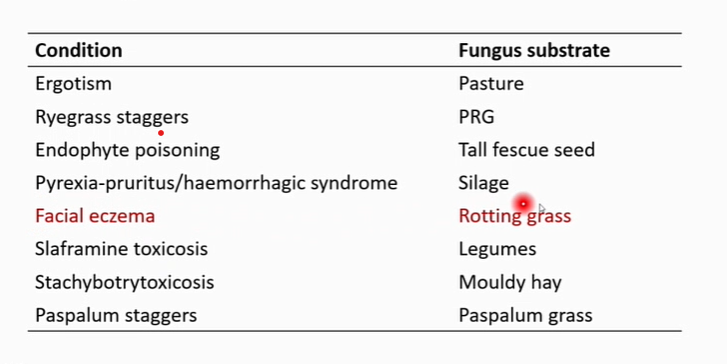 <p>rotting grass can cause a heifer with facal eczema. this is a form of hotosensitsation, caused by spores of pithomyces chartrum</p>