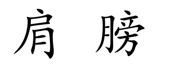 term image