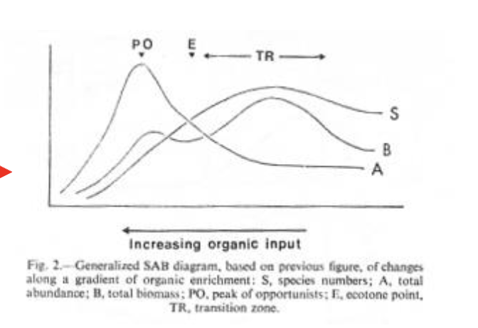 <p><u>Species-abundance-biomass curves</u>:<br><strong><mark data-color="red" style="background-color: red; color: inherit;">Changes</mark></strong><mark data-color="red" style="background-color: red; color: inherit;"> along a</mark><u><mark data-color="red" style="background-color: red; color: inherit;"> gradient of organic enrichmen</mark></u><span style="color: red;"><u><mark data-color="red" style="background-color: red; color: inherit;">t</mark></u> (decreasing)</span></p>