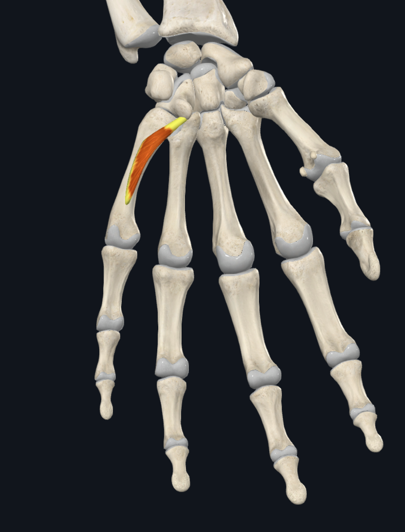 term image