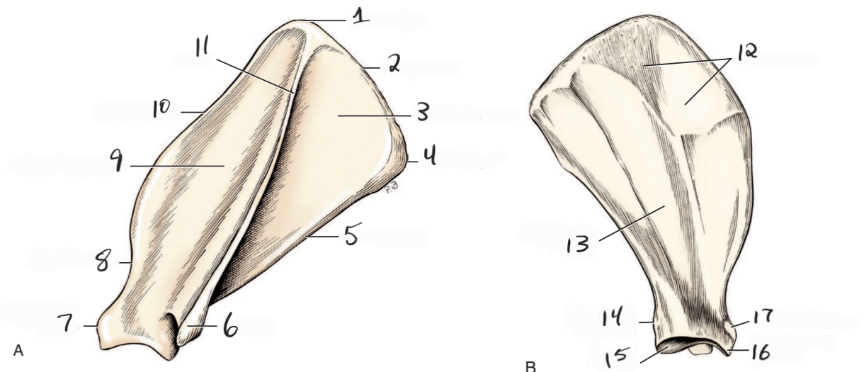 <p>6</p>