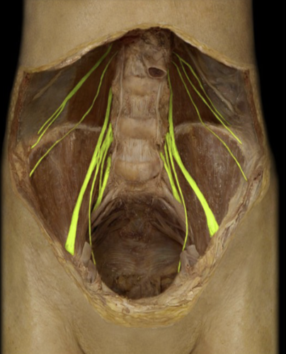 <p>what is the highlighted portion</p>