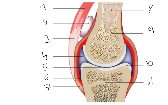 <p>Wat is nummer 11 </p>