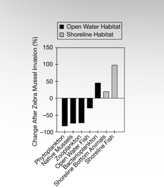 <p><span><span>Zebra mussels are an invasive species that has become widely established throughout the United States.</span></span></p><p><span><span>Figure 1 shows the percent change in the population sizes of selected groups of organisms in the Hudson River since the introduction of zebra mussels. In this study chlorophyll-containing bacteria are considered phytoplankton and all other bacteria are considered bacterioplankton.</span></span></p><p><span><span>Figure 1. Change in biomass of selected Hudson River organisms after the introduction of zebra mussels</span></span></p><p><span><span>Which of the following hypotheses about the effect of zebra mussels on the Hudson River community is best supported by the data in Figure 1 ?</span></span></p>