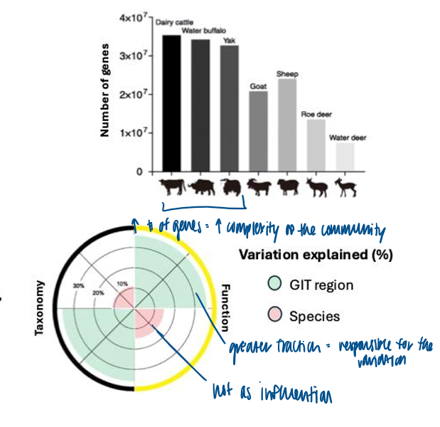 <p>complex environment and more genes </p><ul><li><p>GIT region is more responsible for the variation thn the species type </p></li></ul><p></p>