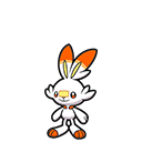 <p>Hopplo</p>
