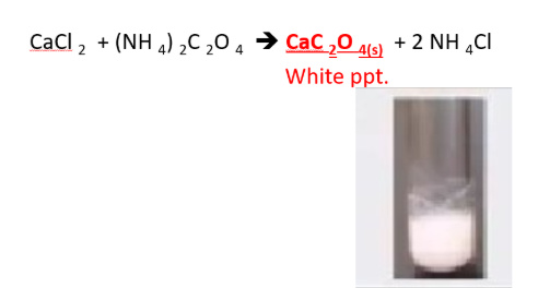 <p><span style="line-height: 0px;">METALLIC IONS​: <strong>Ca</strong></span><span style="background-color: inherit; line-height: 0px;"><strong><sup>2+</sup> (calcium ion)</strong></span></p>