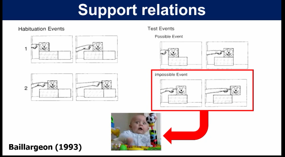 <p>Habituation tasks studying impossible events - violation of expectations.</p>