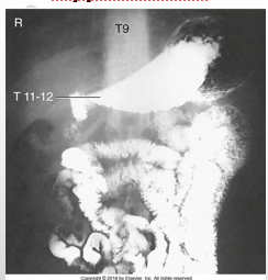 <p>what type of patient is this?</p>