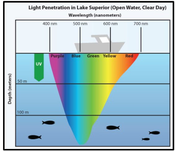 <p>you stick in the blue-green wavelengths</p>