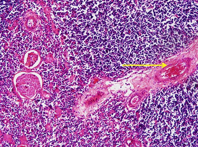 <p>Cấu trúc gì ?</p>