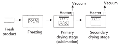 <p>dehydration by sublimation of a frozen product</p><ul><li><p>primary drying - rapid sublimation occurs by controlling vacuum level in dryer and careful heat input - heat supplied by combination of conduction and radiation - ice leaves as porous dry cake</p></li><li><p>secondary drying - warmer temp. to remove bound water, slower drying rate, moisture loss occurs only by diffusion</p></li></ul><p>slow freezing leads to formation of large ice crystals while rapid freezing promotes formation of small ice crystals</p><p>cake resistance affects product temperature and speed of primary drying</p>