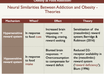 <p>hypersensitive reward system —> actives in response to food cues —> increased brain response —> increased wanting, craving, reward seeking —> theory = sensitisation of the mesolimbic reward system </p>
