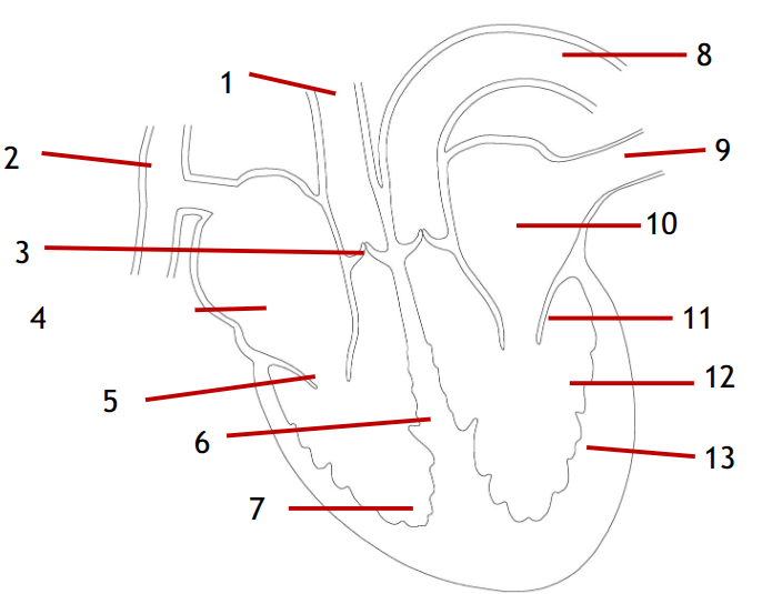 <p>12</p>