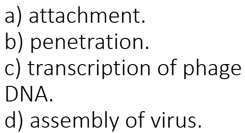 <p>The tail fibers on phages are associated with…</p>