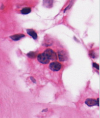 <p>What does this image show?</p>