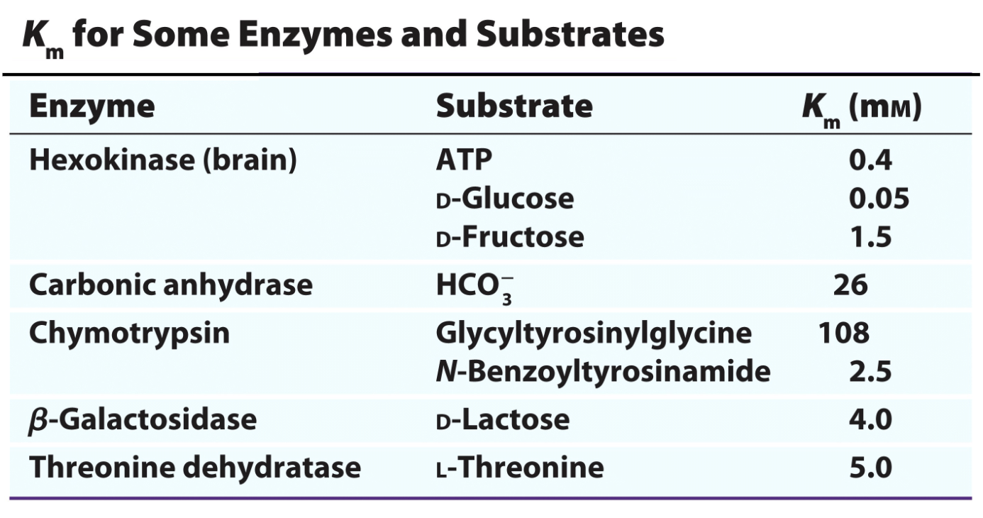 <p>Why doe Glycyltyrosinylglycine have such a high Km</p>
