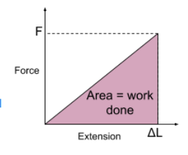 <p>Area under graph = Work done/elastic potential</p>