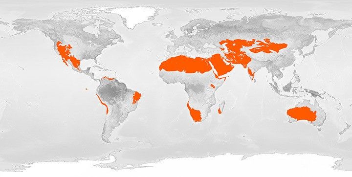 <p>What biome is this?</p>