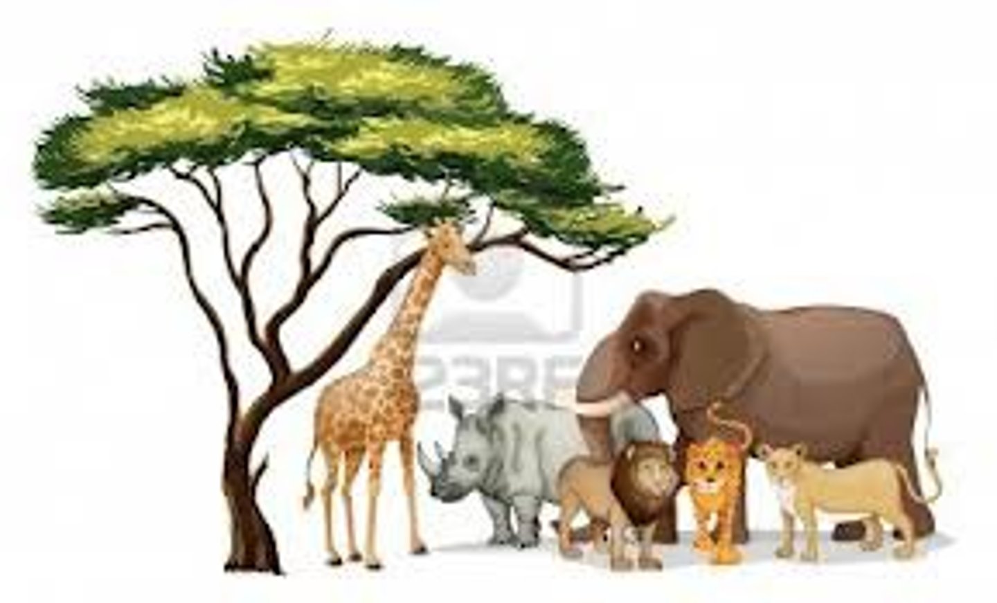 <p>All the populations of species (all biotic factors)</p><p>- Live at the same time, same place</p>