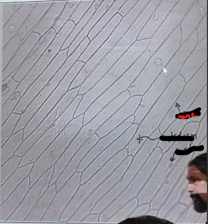 <ol><li><p>Name the part</p></li></ol><p></p>