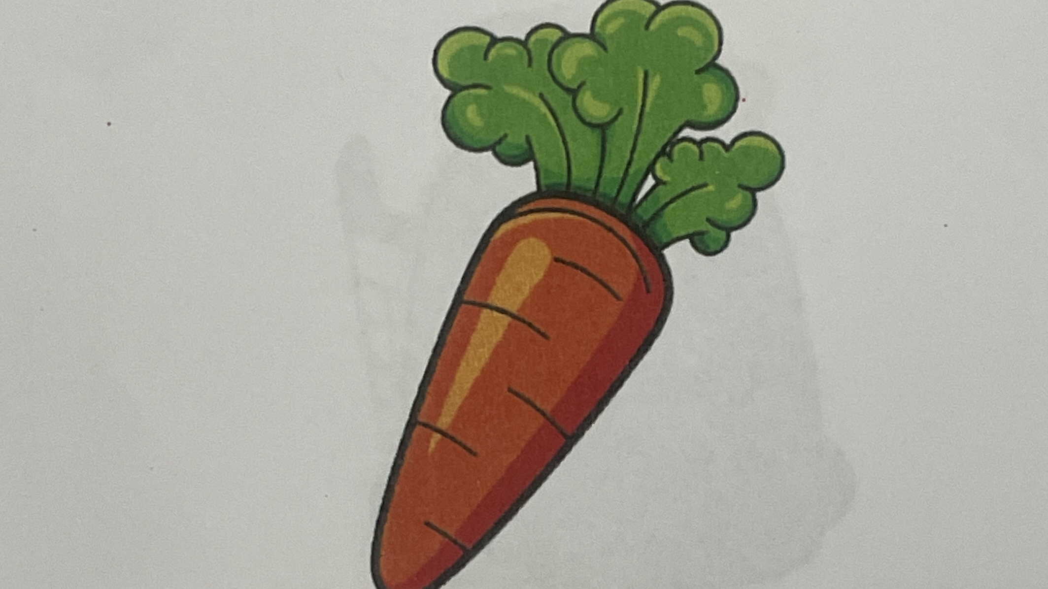 <p>carrot</p>