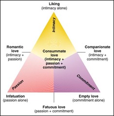 <p>Sternberg's theory that patterns of love</p><p>hinge on the balance among three</p><p>elements: intimacy, passion, and</p><p>commitment.</p>