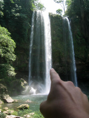 <p>sự biểu thị, dấu hiệu</p>