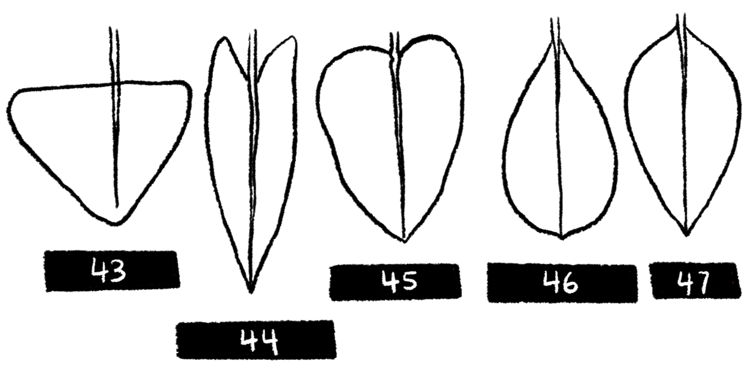<p>What is 47?</p>