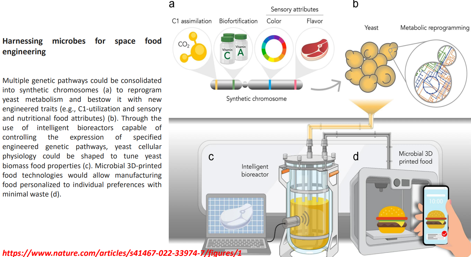 <p>Harnessing microbes for space food engineering: Intelligent bioreactors regulate expression dynamically </p>