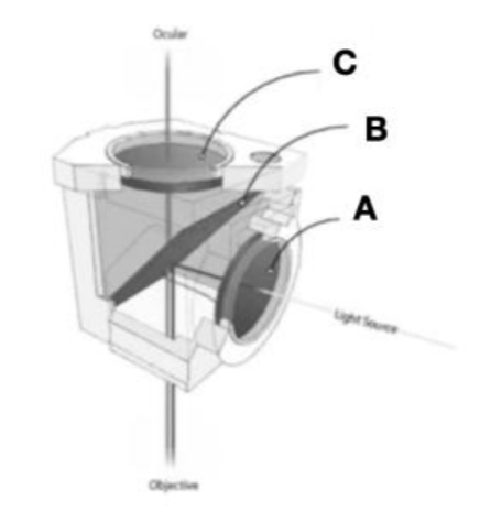 <p>How does a fluorescent filter cube work?</p>